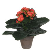 Artificial Plant - Orange Kalanchoe - MICA